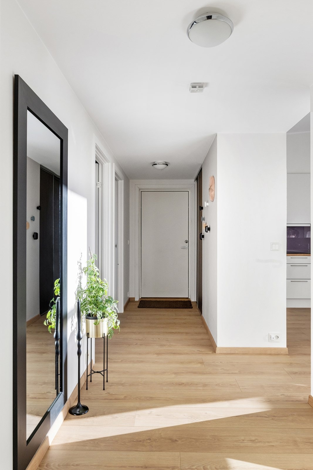 Entré/gang. Galleribilde