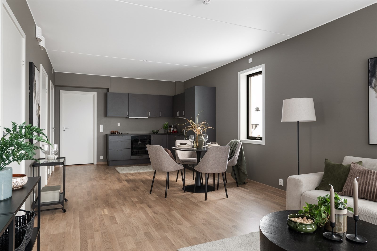 DSC_3561.jpg Galleribilde