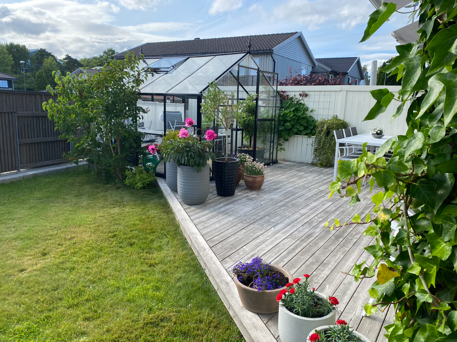 Selgers private bilder. Galleribilde