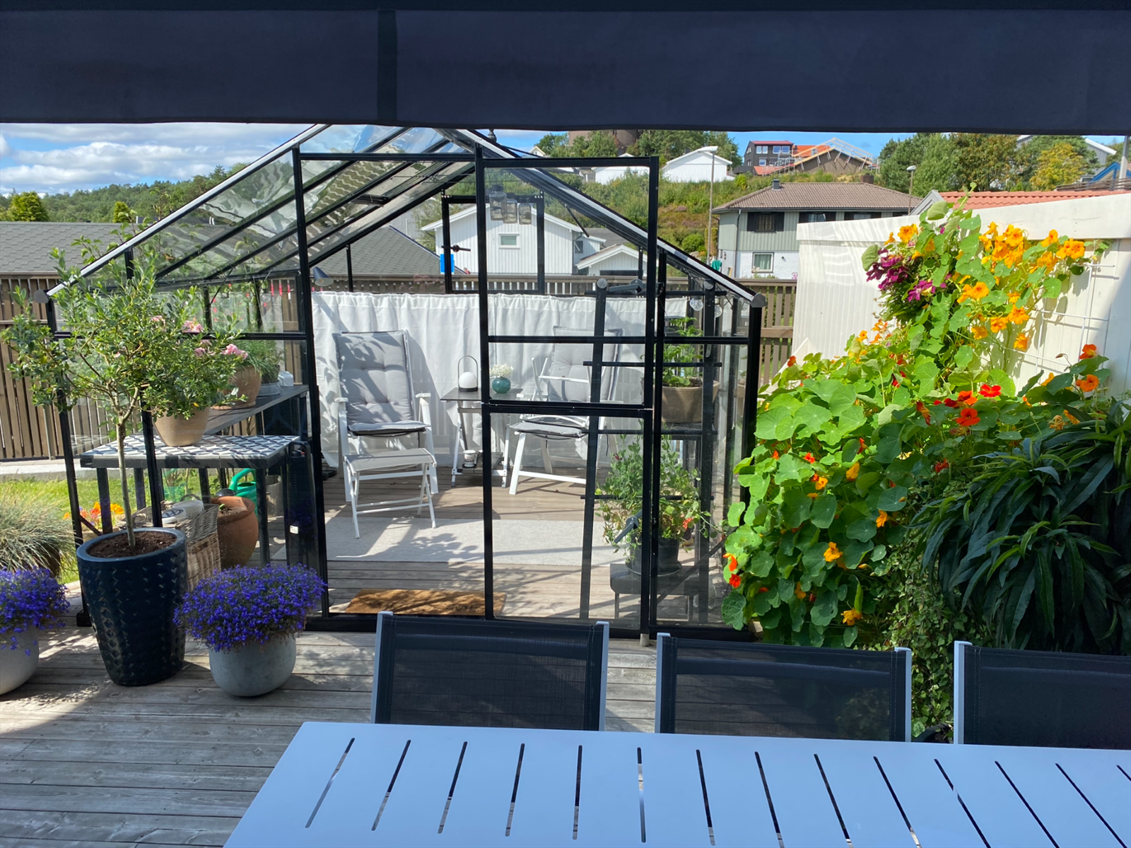 Selgers private bilder. Galleribilde