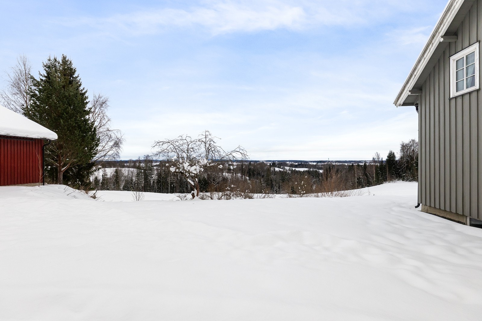 Flott hage med plen, beplantning og frukttrær. Galleribilde
