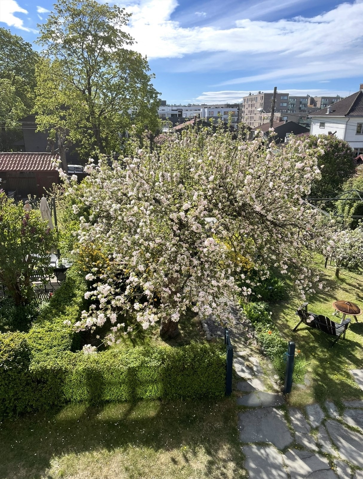 Fredelig og innbydende. Bilde tatt av selger. Galleribilde