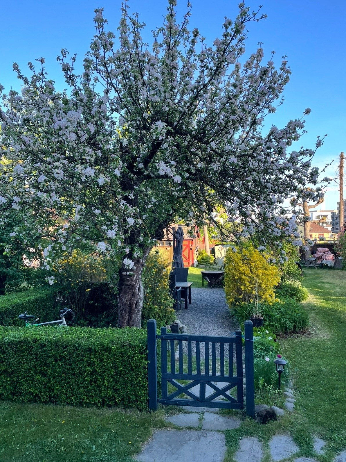 Hagen er svært sjarmerende med prydtre og variert beplantning. Galleribilde