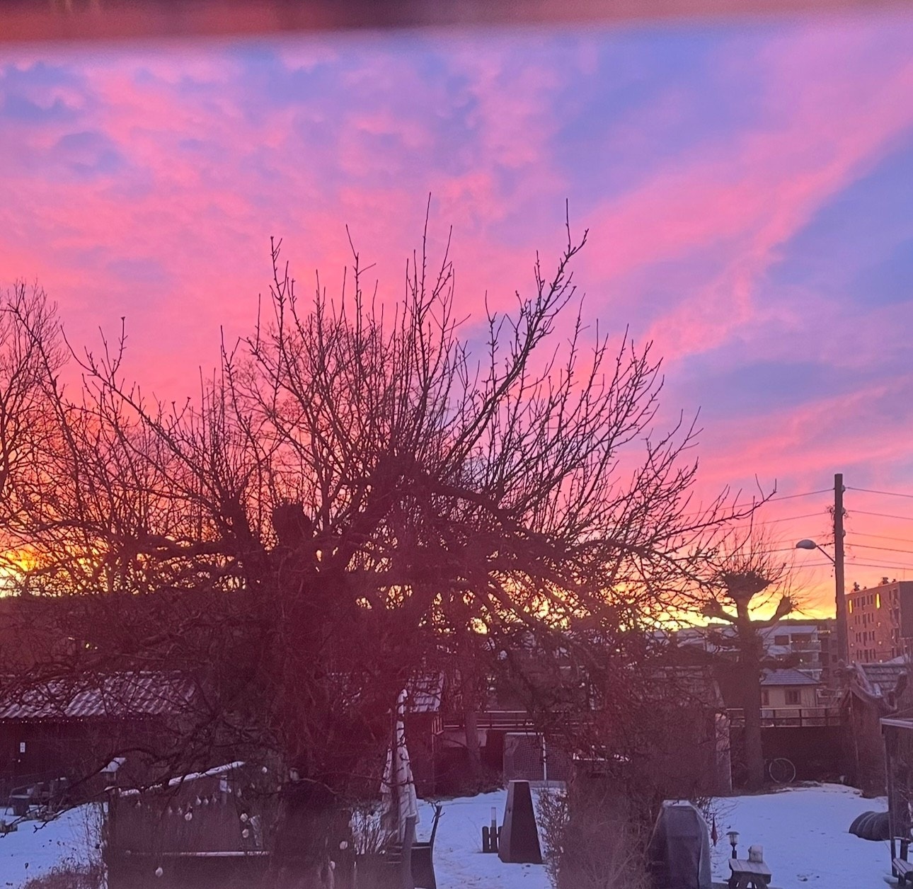 Magisk stemning i hagen i skumringen. Bilde tatt av selger. Galleribilde