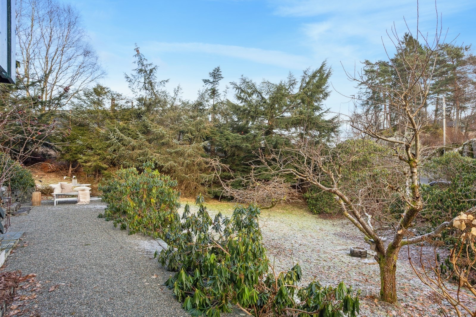 På tomten er det diverse trivelig beplanting og trær. Galleribilde