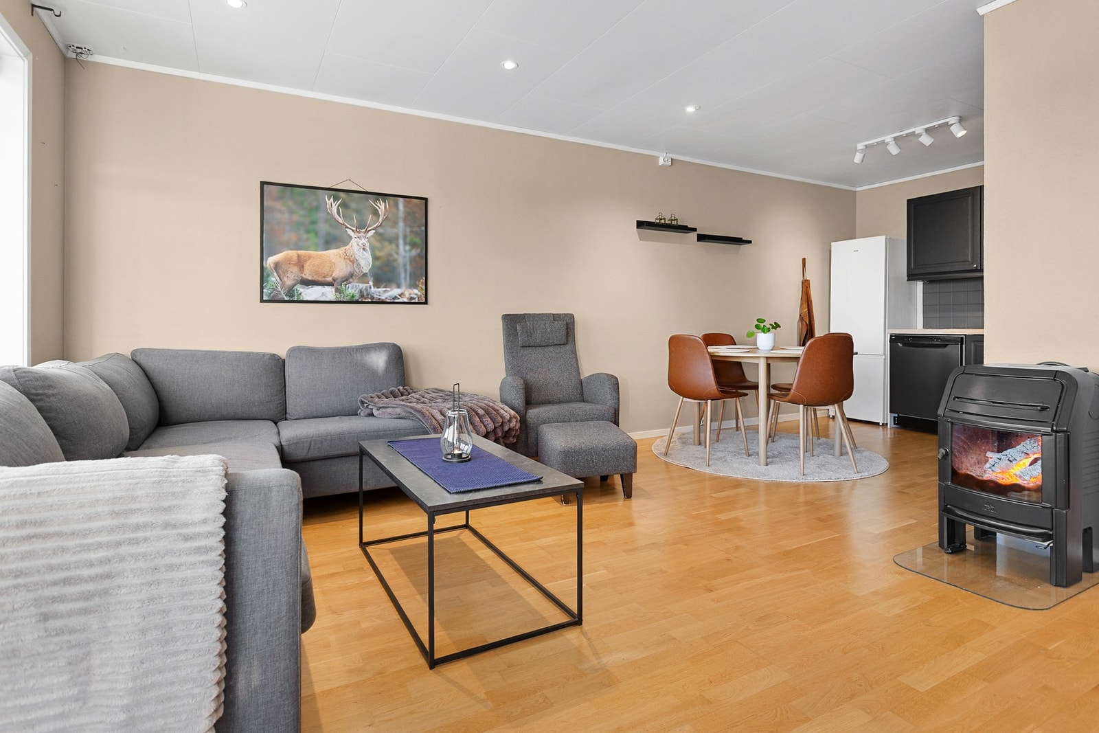 Pen og praktisk selveierleilighet! Galleribilde