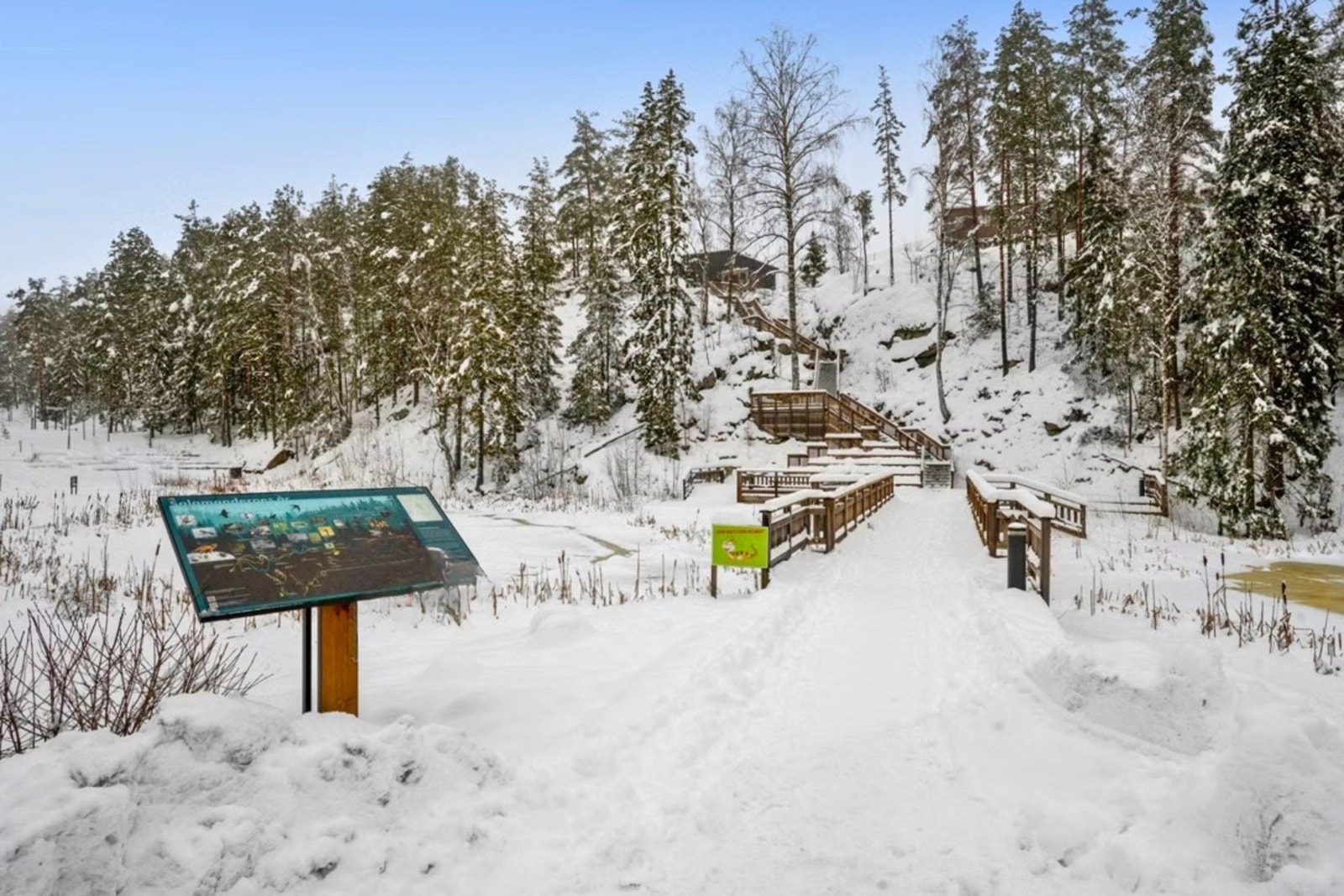 Kort vei til turterreng for 2 og 4-bente Galleribilde