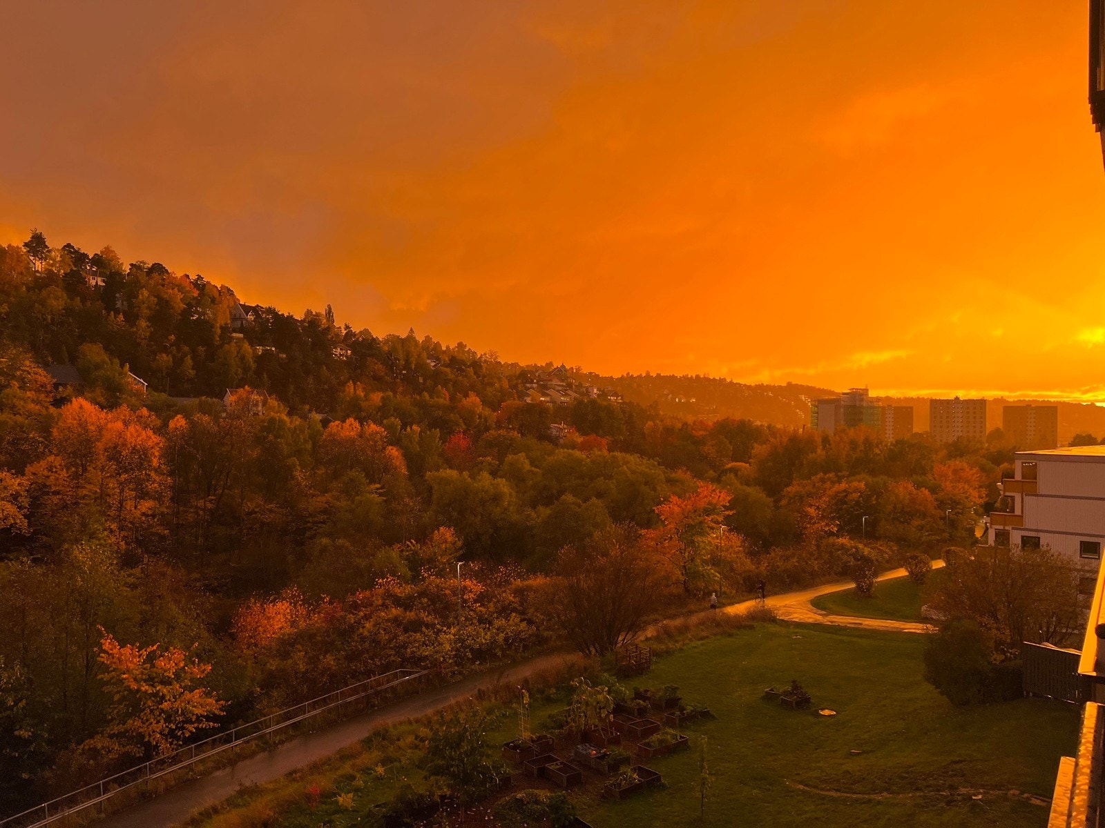 Her får du anledning til å nyte solen store deler av dagen i fred og ro. Galleribilde