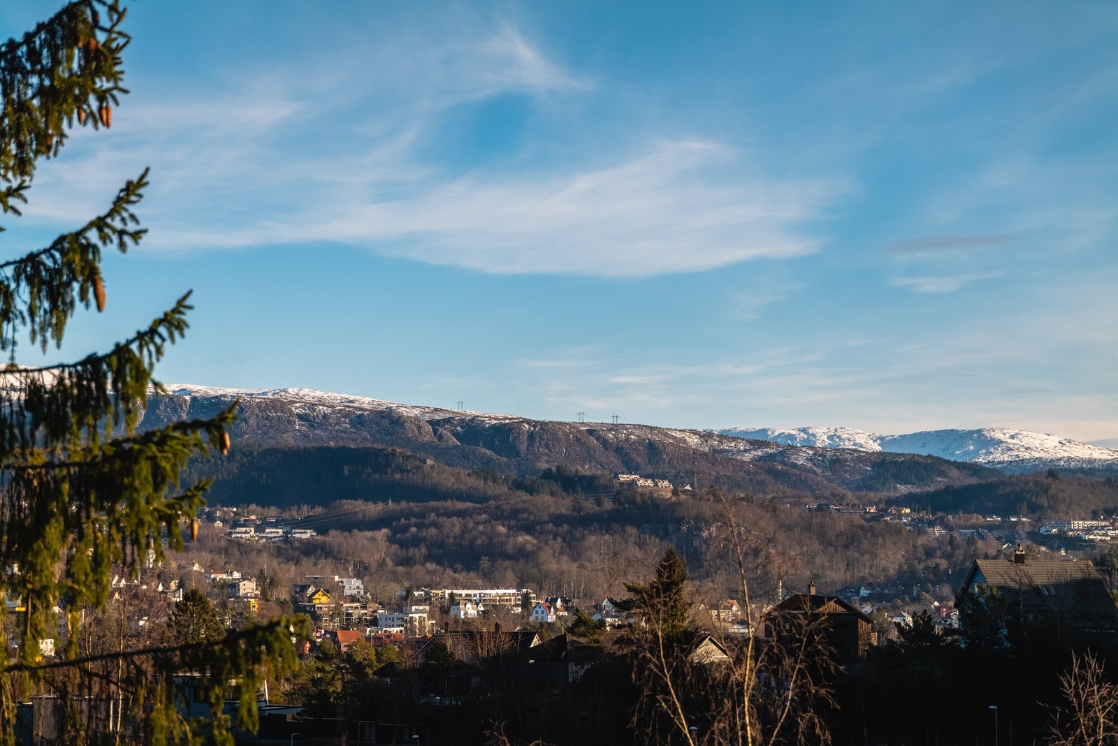 Langeskogen byr på gode og varierte turløyper rett ved, og tursti opp Løvstakken ligger ca. fem minutters gange unna. Galleribilde