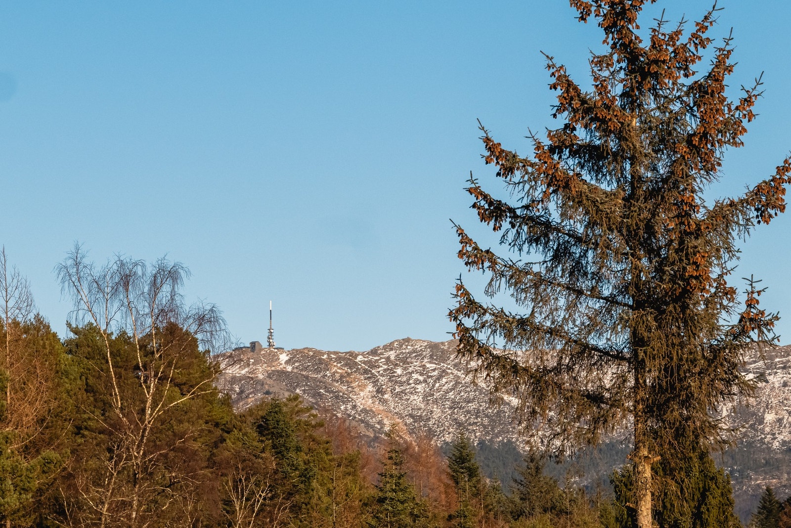 Nærmeste busstopp, Bergveien, ligger kun 4 minutters gange fra boligen. Herfra går linje 14 og 15 med hyppige avganger mot Fyllingsdalen terminal og Bergen sentrum/busstasjonen. Galleribilde