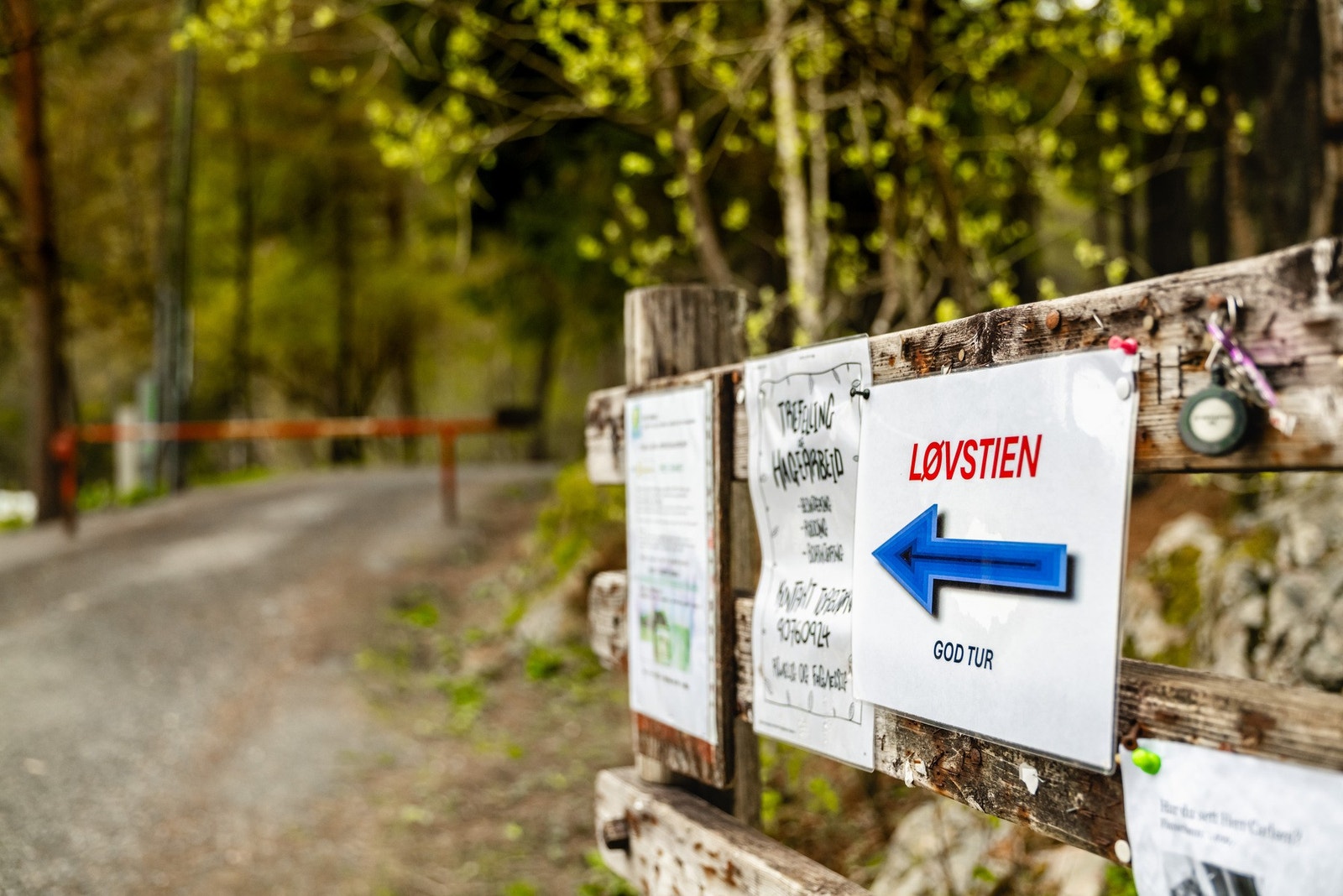 Løvstien gir også flotte turmuligheter helt til Øvre Riplegården på Laksevåg. Galleribilde