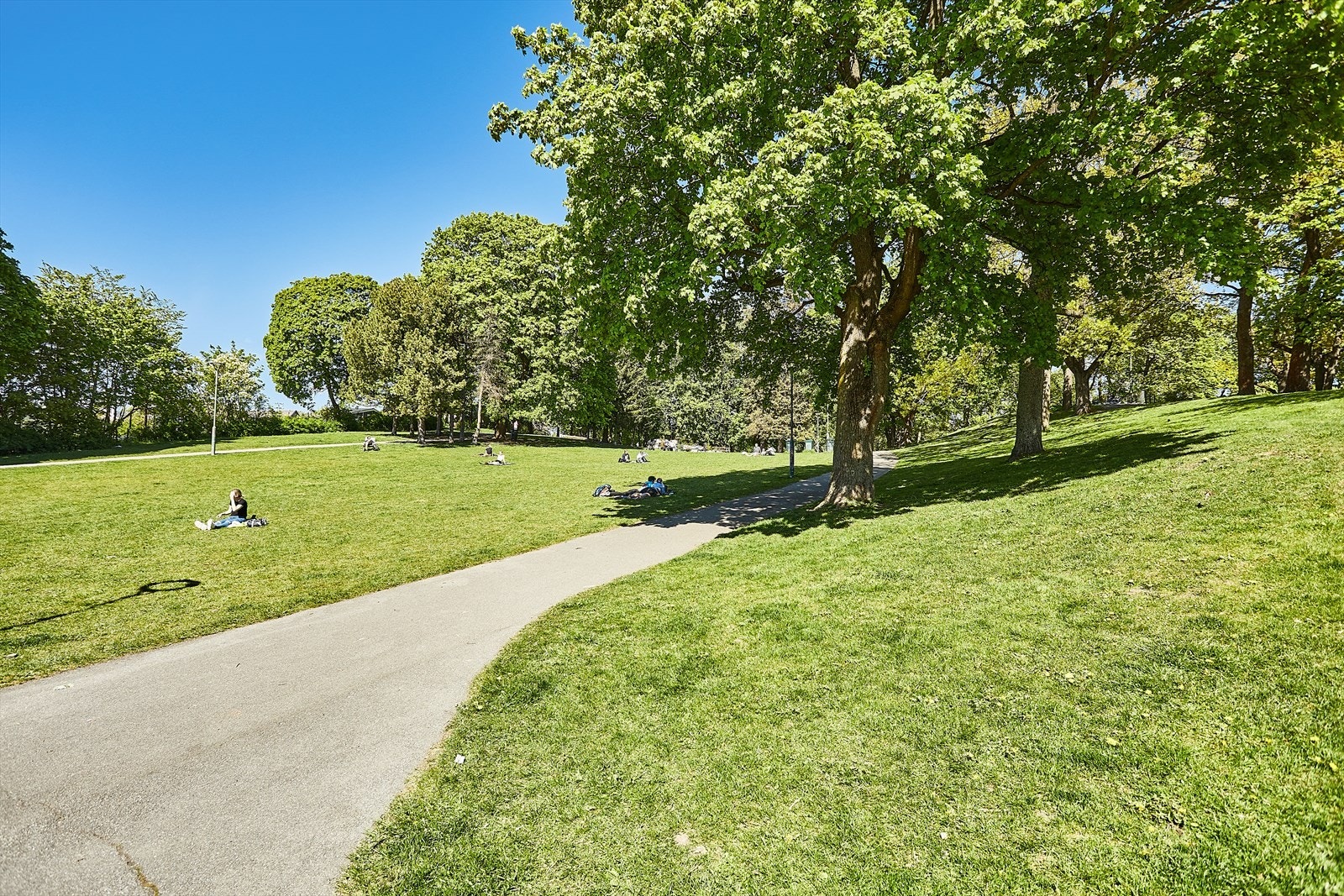 Bjølsenparken. Galleribilde