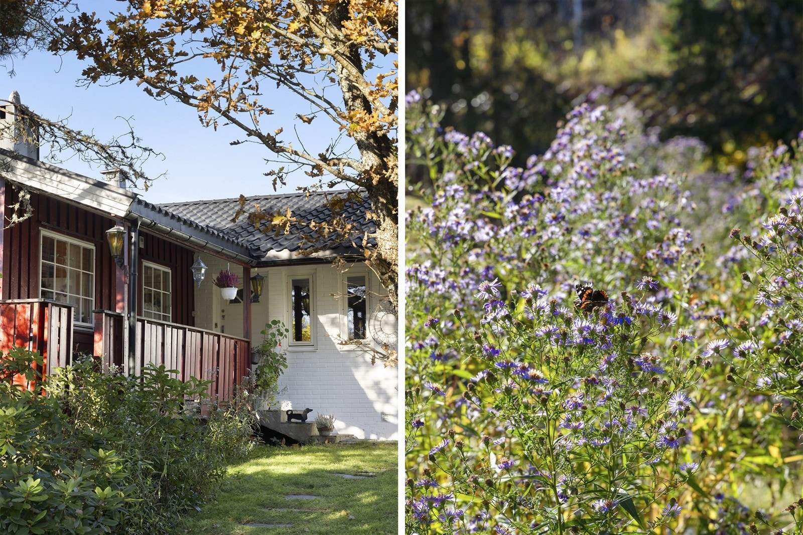 Tomten er pent beplantet med diverse prydbusker og epletre Galleribilde