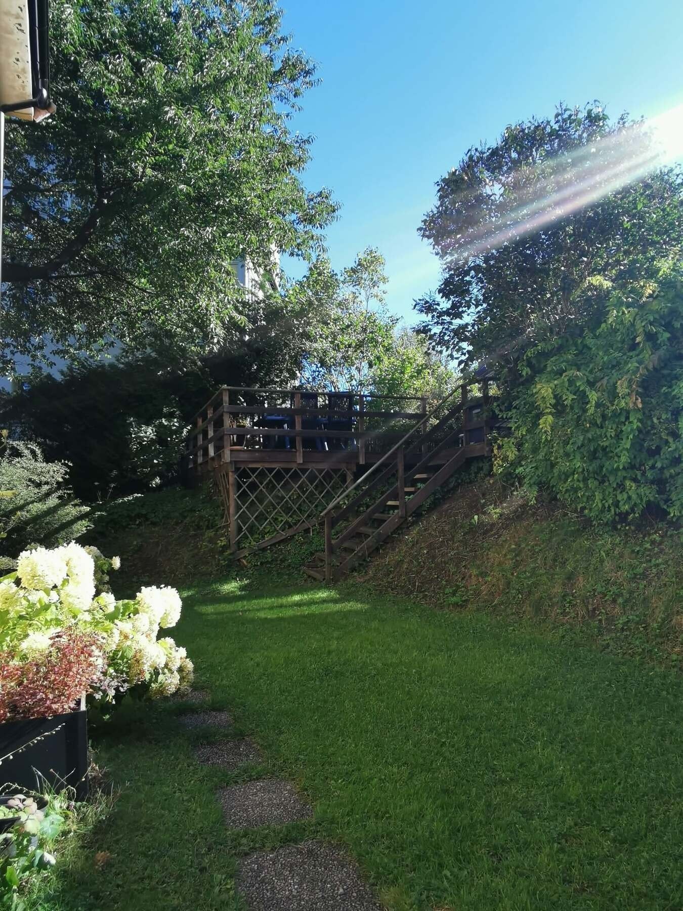 Selgers bilde - Bakgård Galleribilde