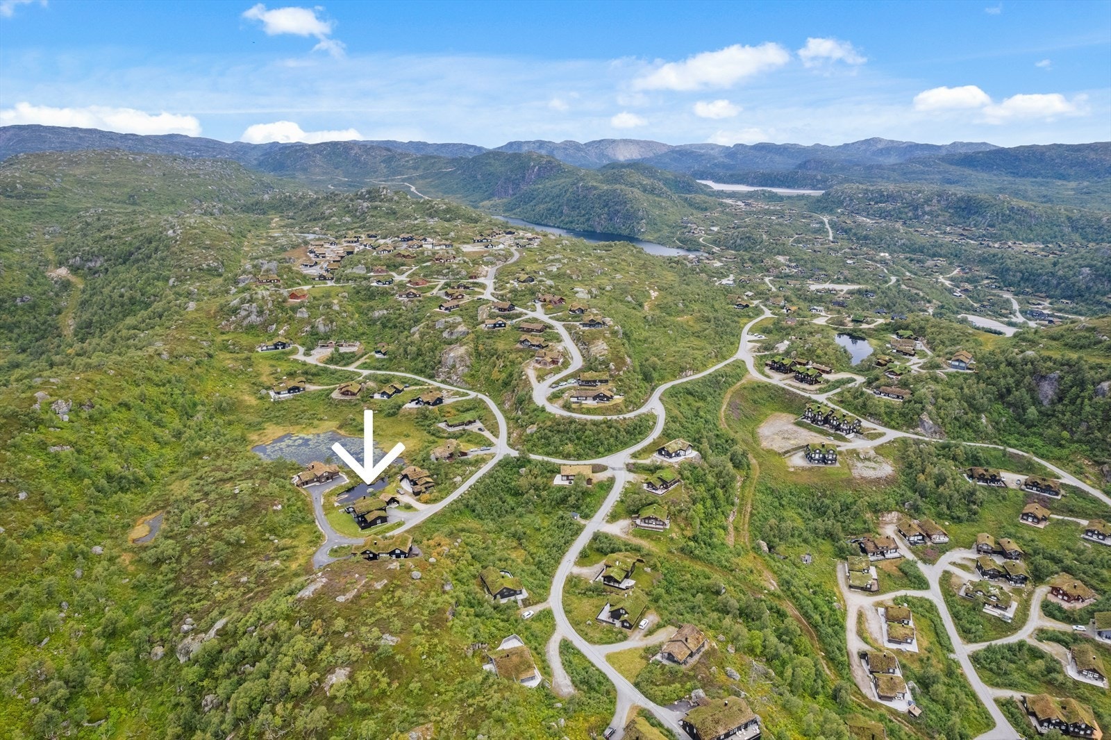 Midt i smørøyet med flott fjellflora rett rundt - her er det bare å spenne på seg ski eller fjellsko og gå rett ut i milevis med terreng Galleribilde