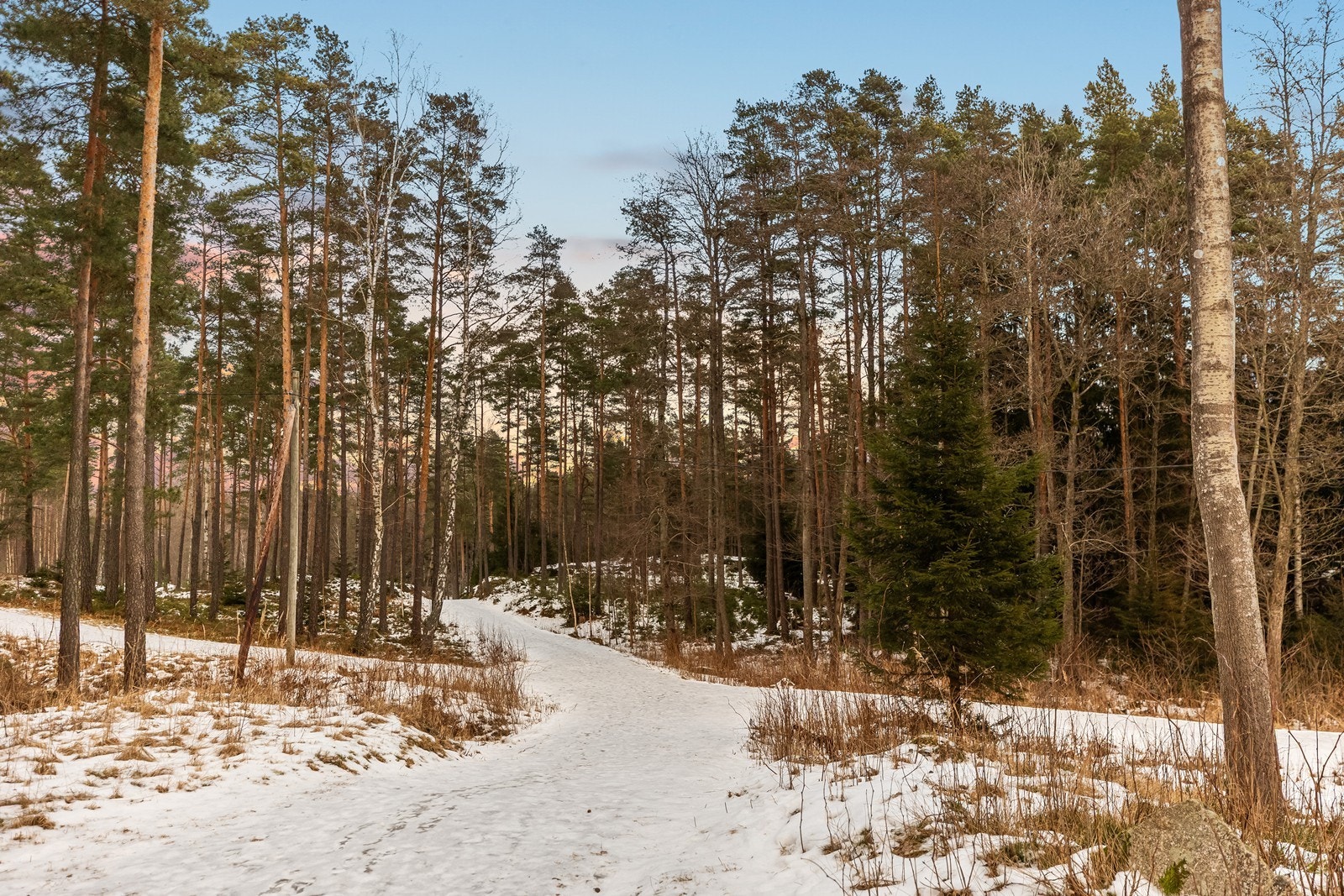 Med marka som nærmeste nabo har du tilgang til flotte turstier rett utenfor døren. Galleribilde