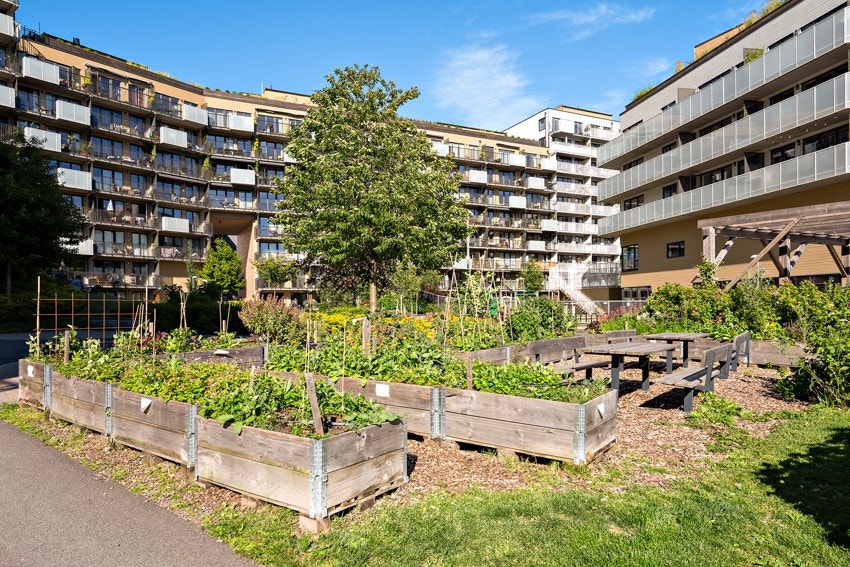 Fine fellesområder. Galleribilde