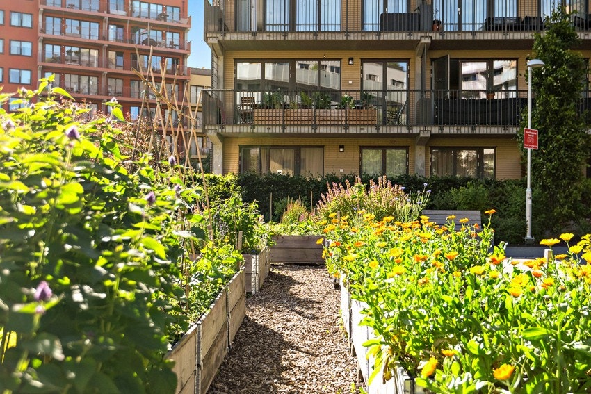 Grønt og frodig på sommerhalvåret. Galleribilde