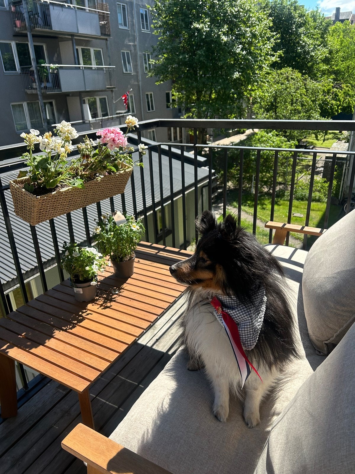 Balkongen har flott grønt utsyn sommerhalvåret, og gode solforhold. Selgers bilde. Galleribilde