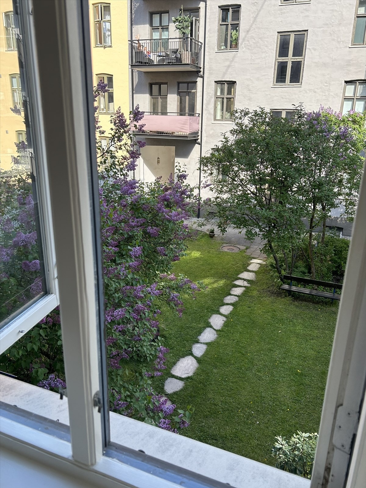 Frodig og sjarmerende bakgård, selgers eget bilde fra syrinblomstringen Galleribilde