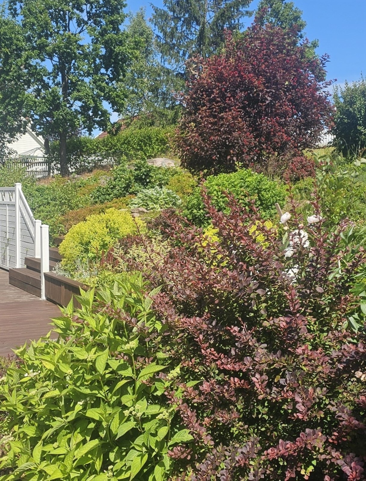 Selgers sommerbilde - frodig og flott hage Galleribilde