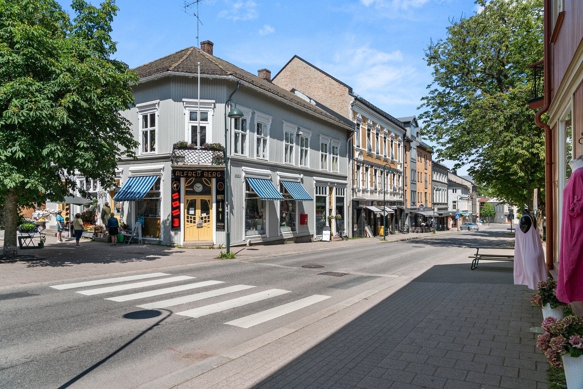 Nærområdet Galleribilde