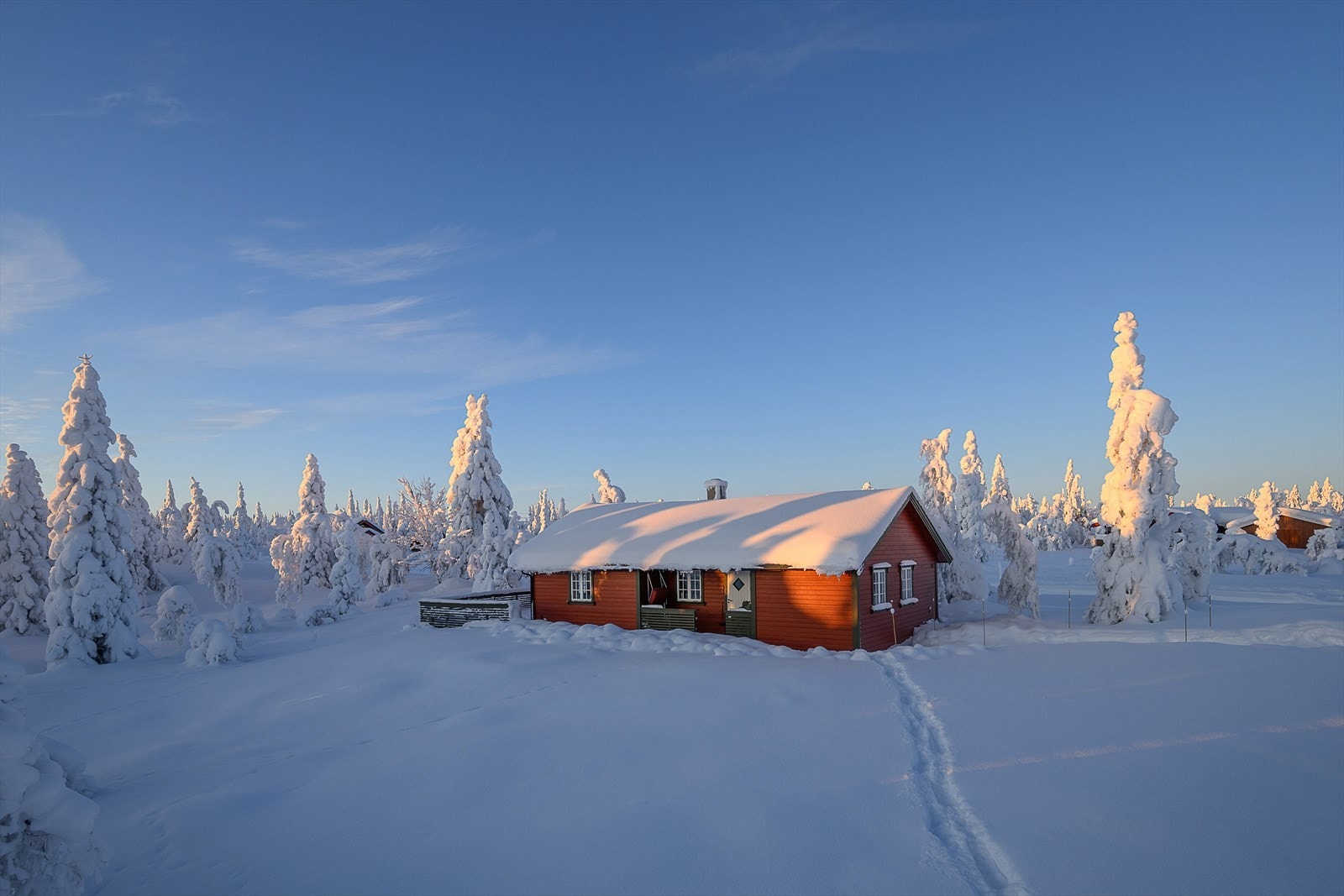 Bente Holen Bergseng v/Eiendomsmegler 1 presenterer Lauvlia 366! Foto: Lars Marius Bækkevold. Galleribilde