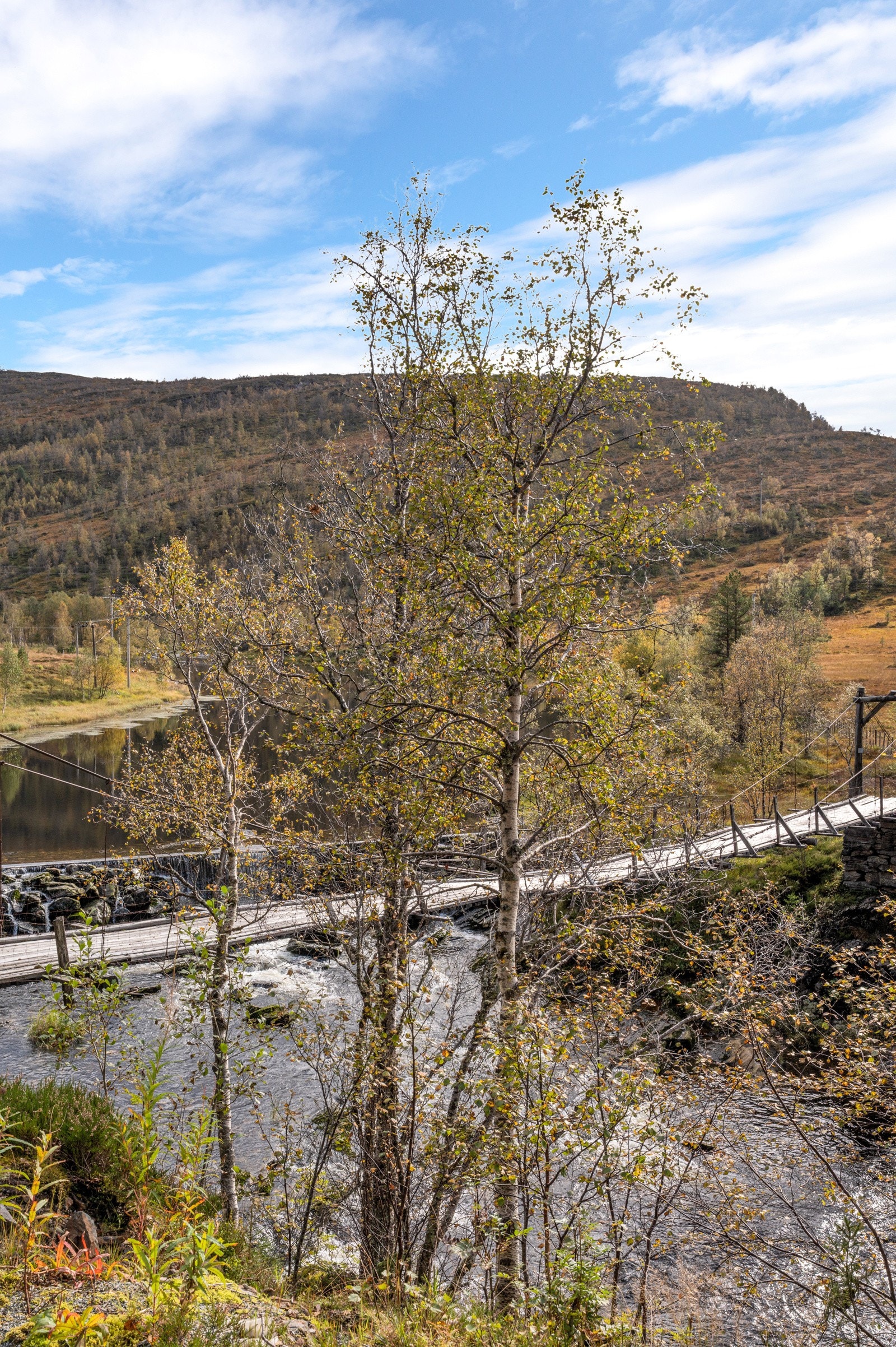 Nærområde Galleribilde