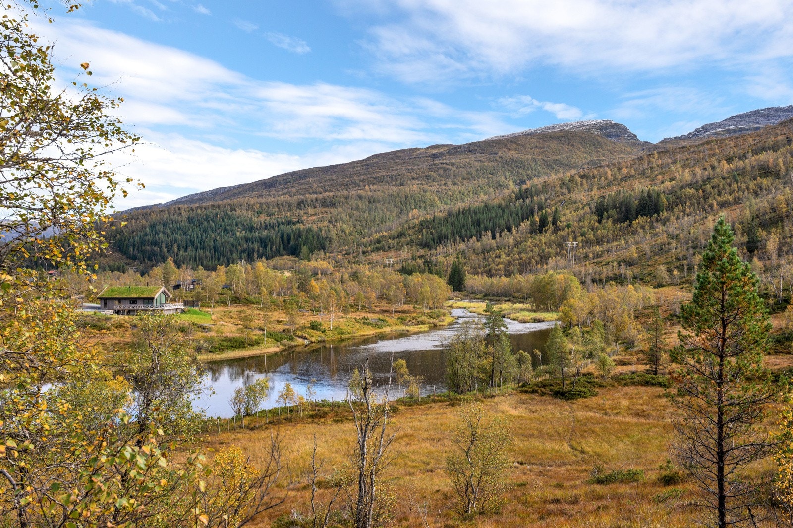 Nærområde Galleribilde