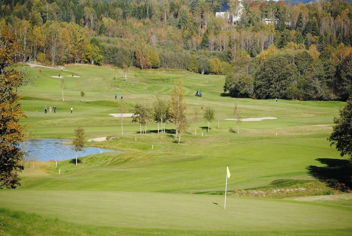Golfbaner langs Griniveien Galleribilde