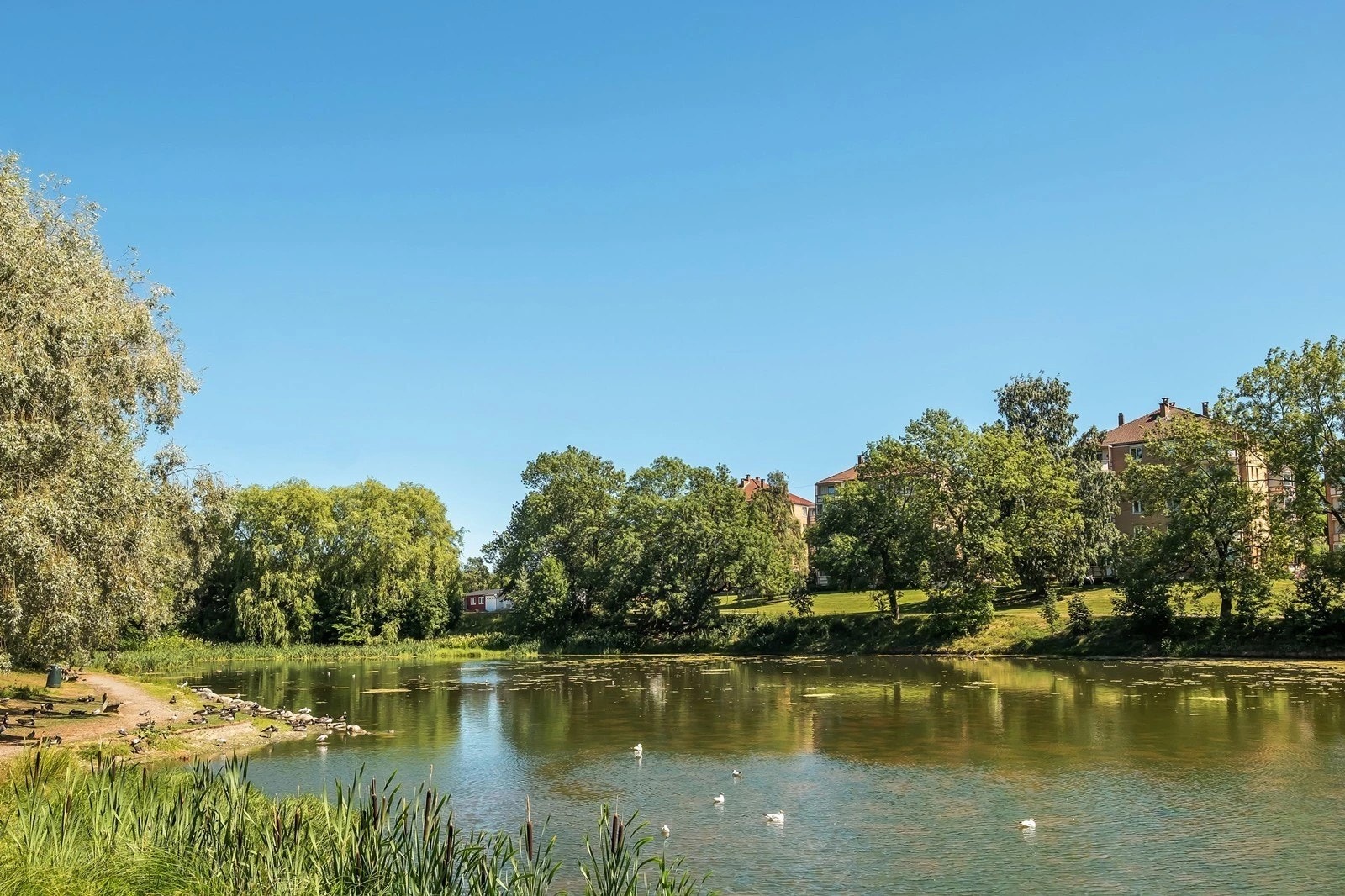 Hovindammen ligger i nærheten - en idyllisk oase perfekt for rekreasjon og turliv. Galleribilde