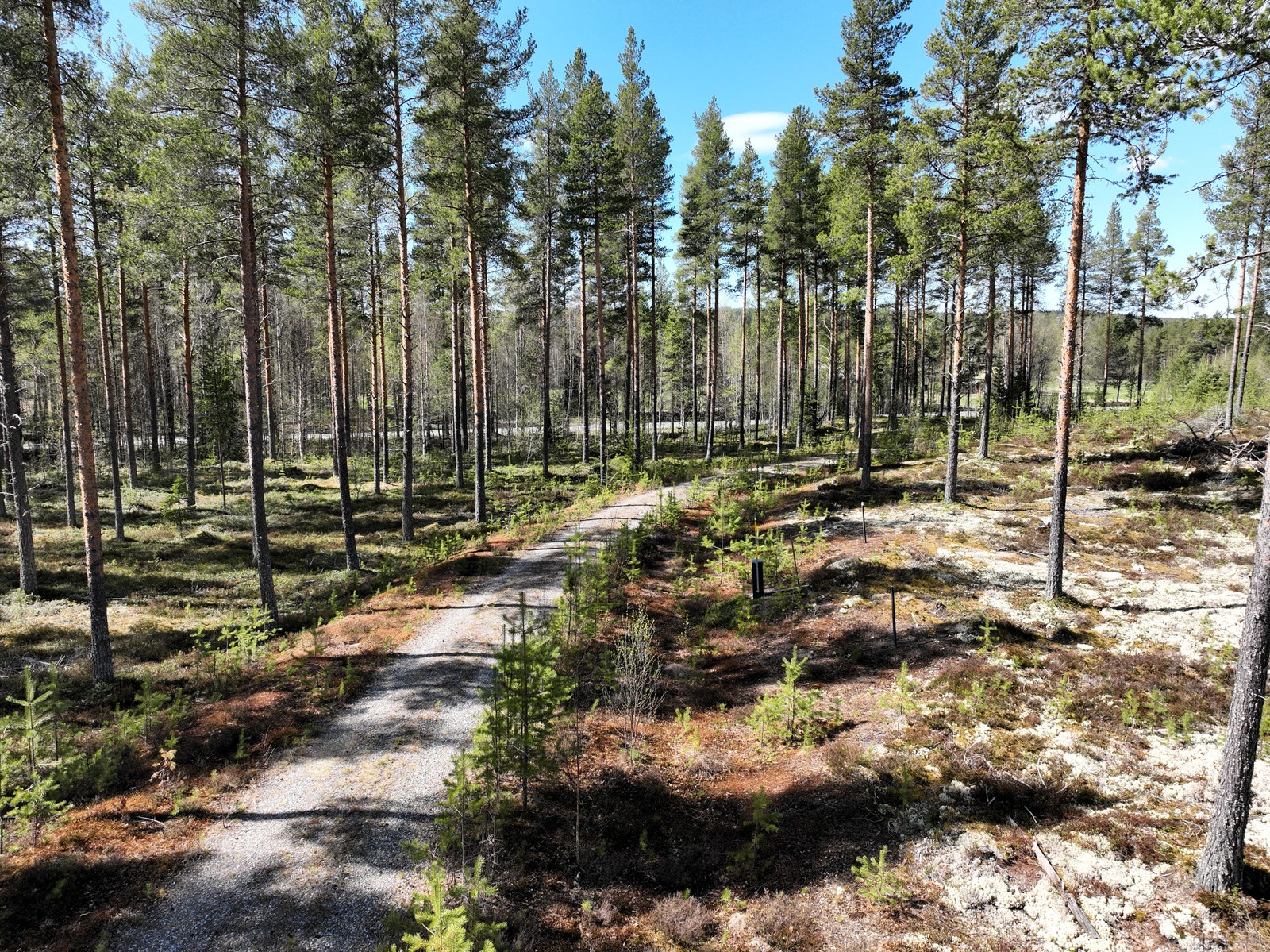 Bilde fra øvre felt Galleribilde