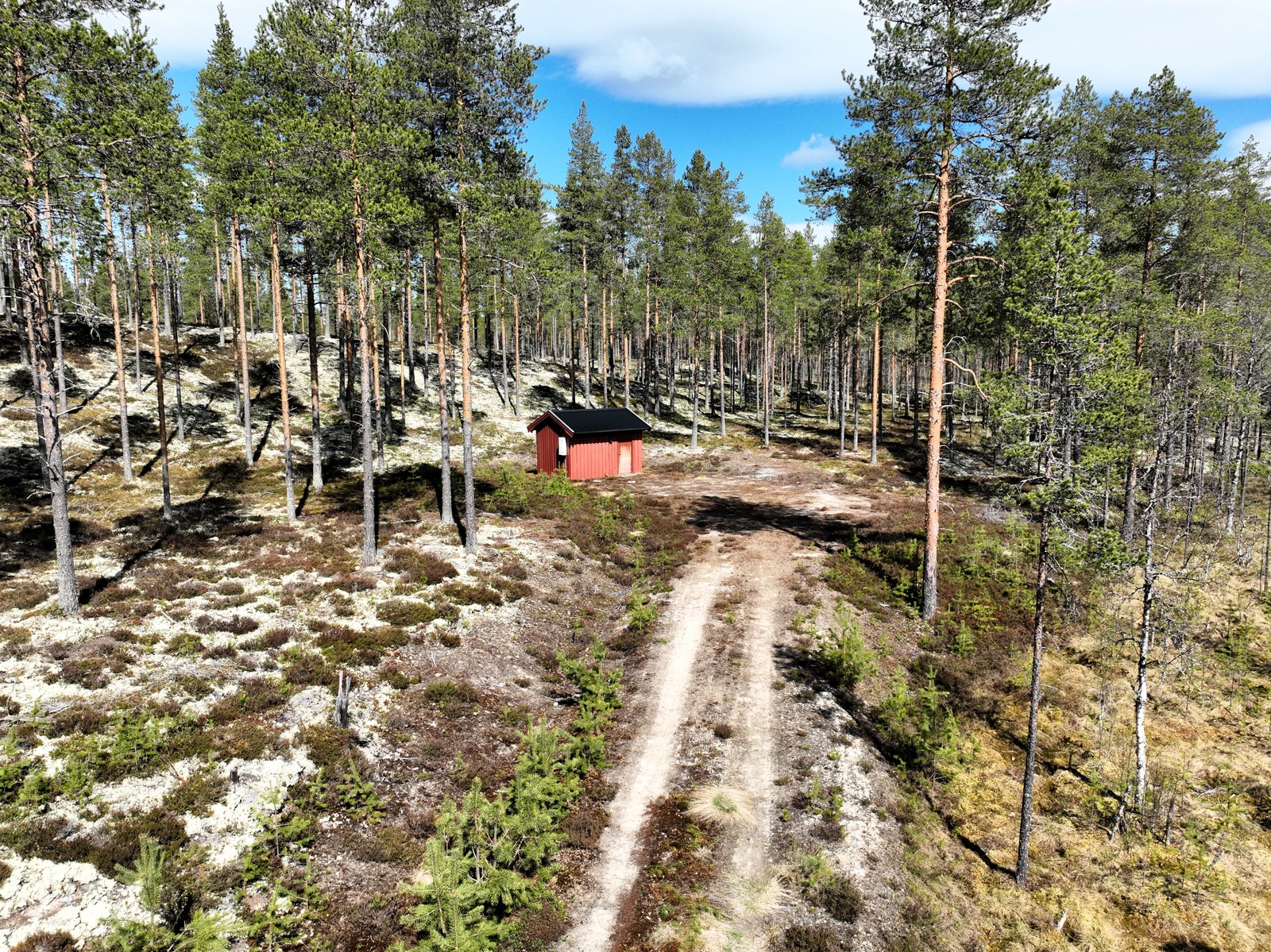 Bilde fra øvre felt Galleribilde