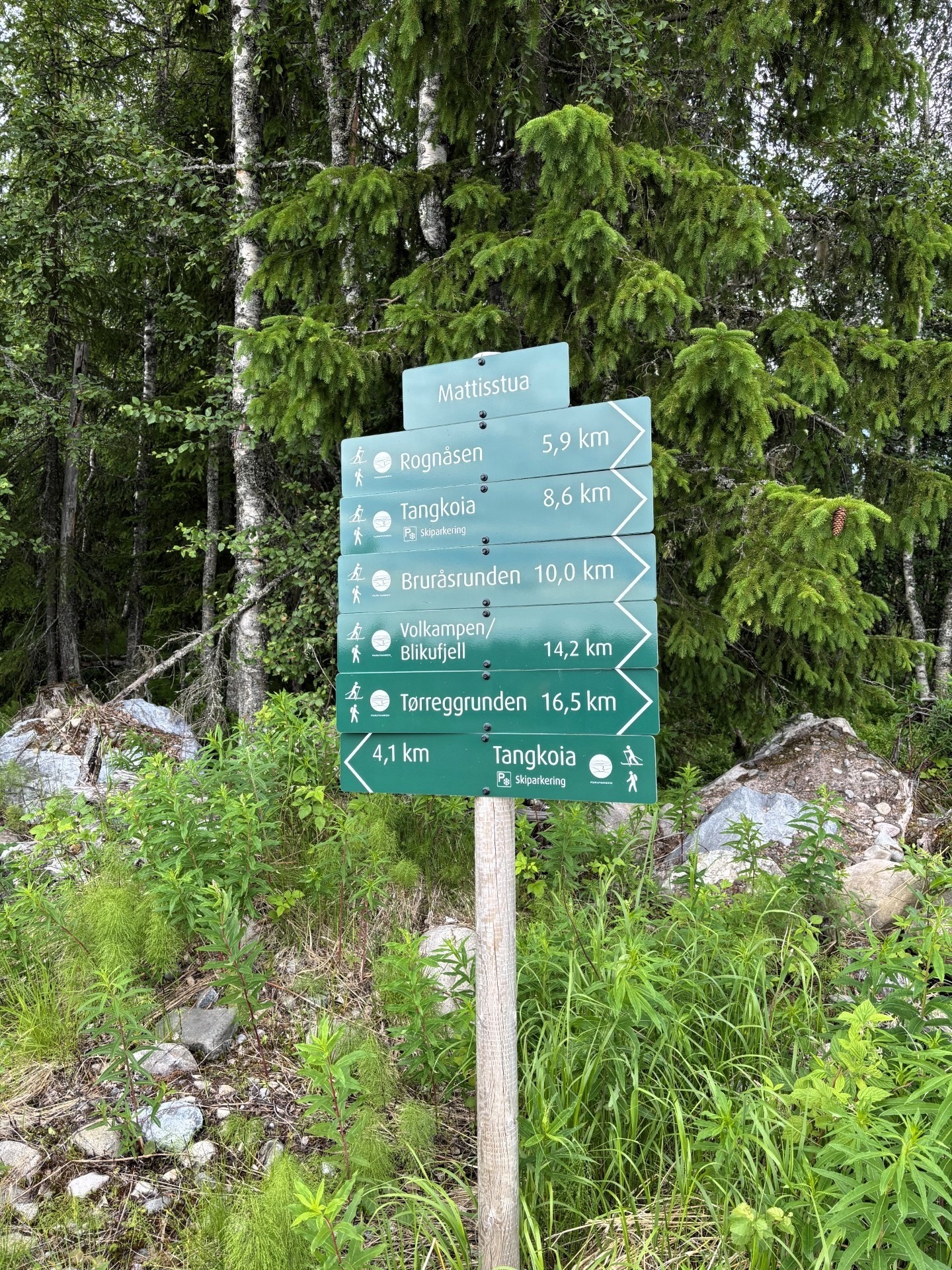 Fine turmuligheter Galleribilde