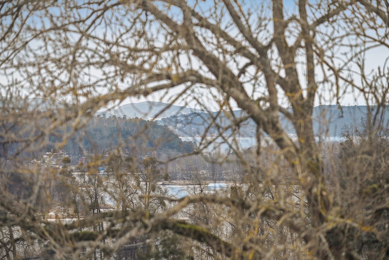 Utsikt fra soverommet. Galleribilde