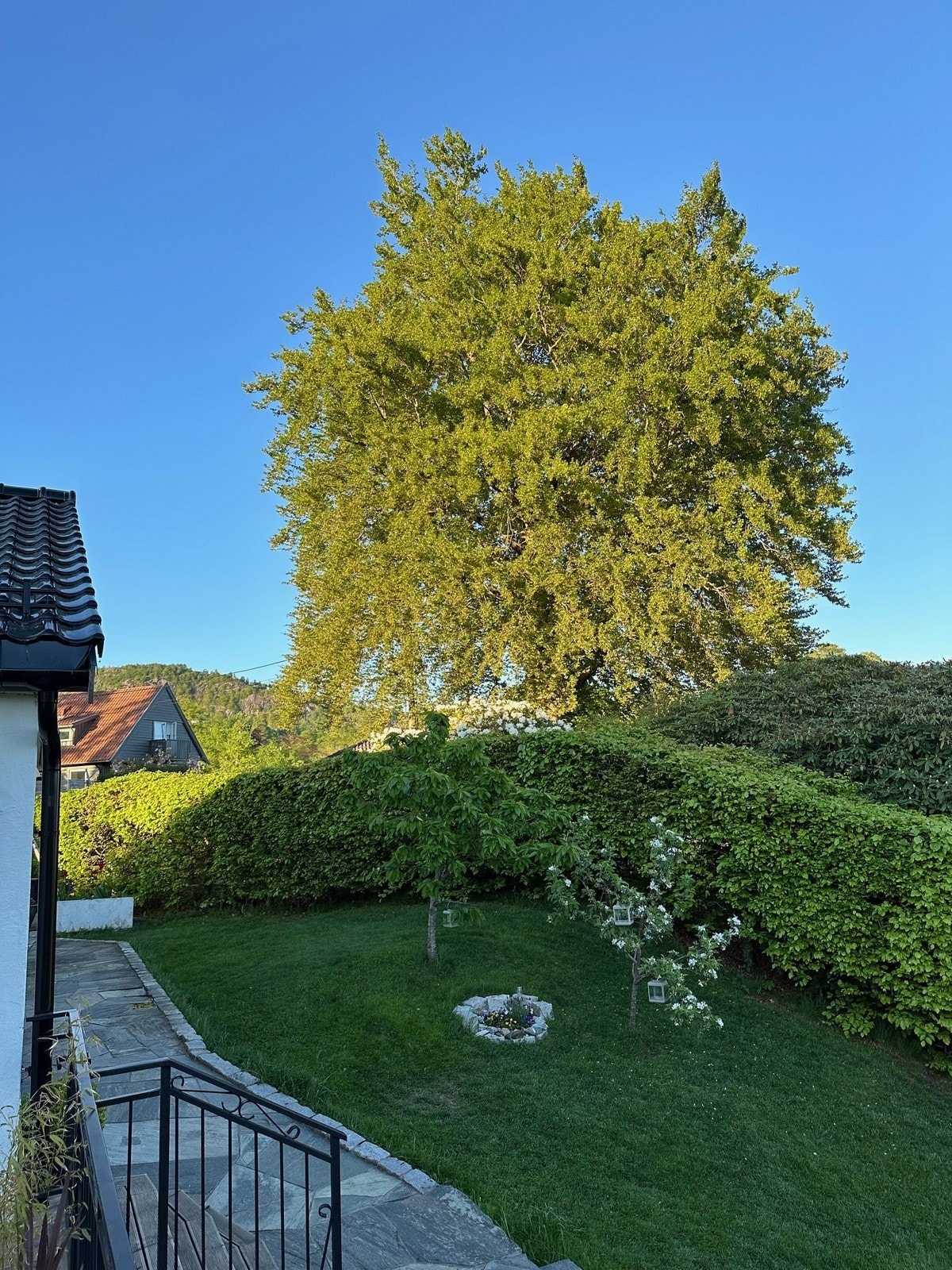 Uteområde. Galleribilde