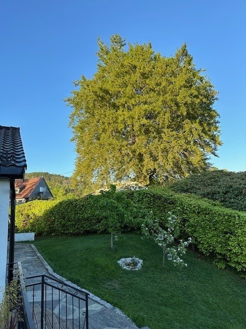 Flott hage en kan nyte fine dager på. Galleribilde