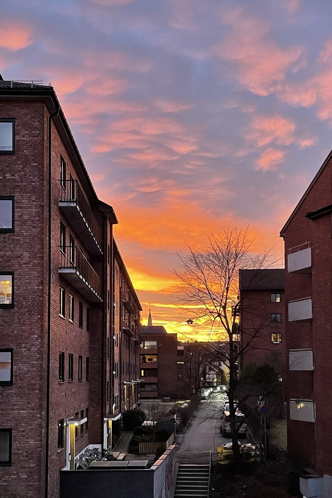 Selgers private bilder. Galleribilde