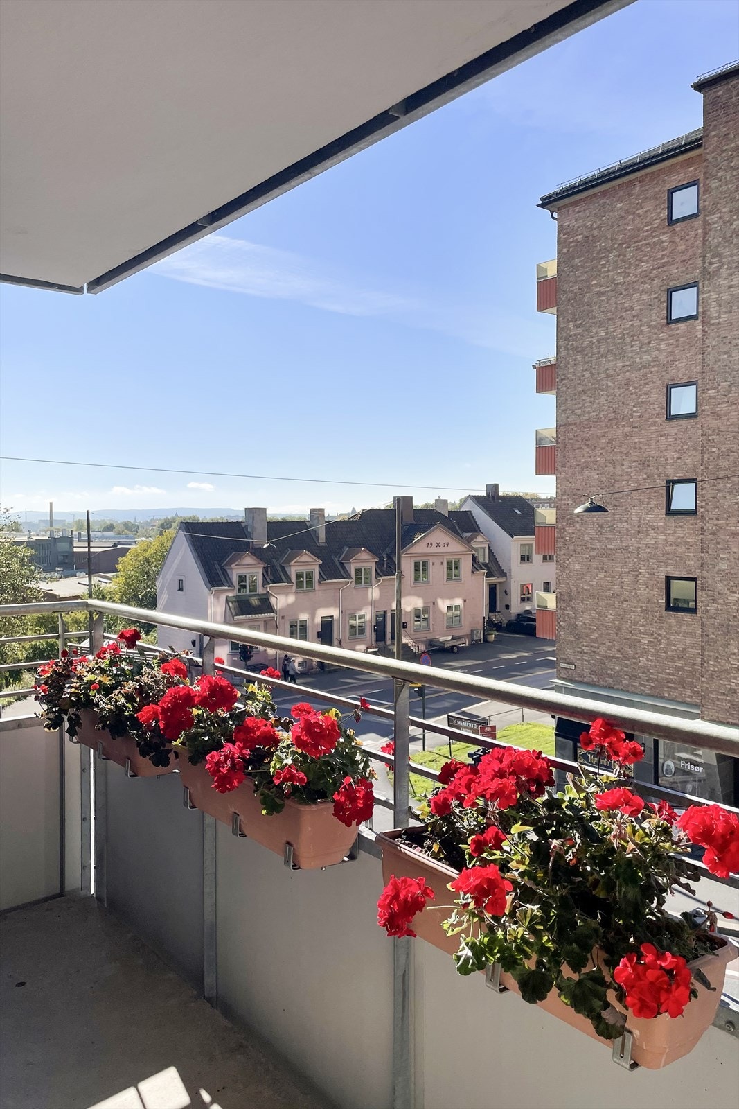 Selgers private bilder. Galleribilde