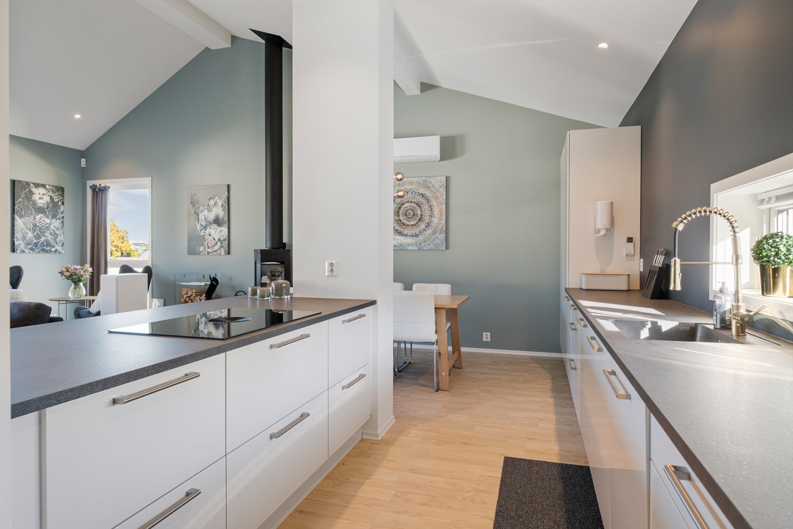 Nedfelt kjøkkenventilator gir en ryddig arbeidsflate. Galleribilde