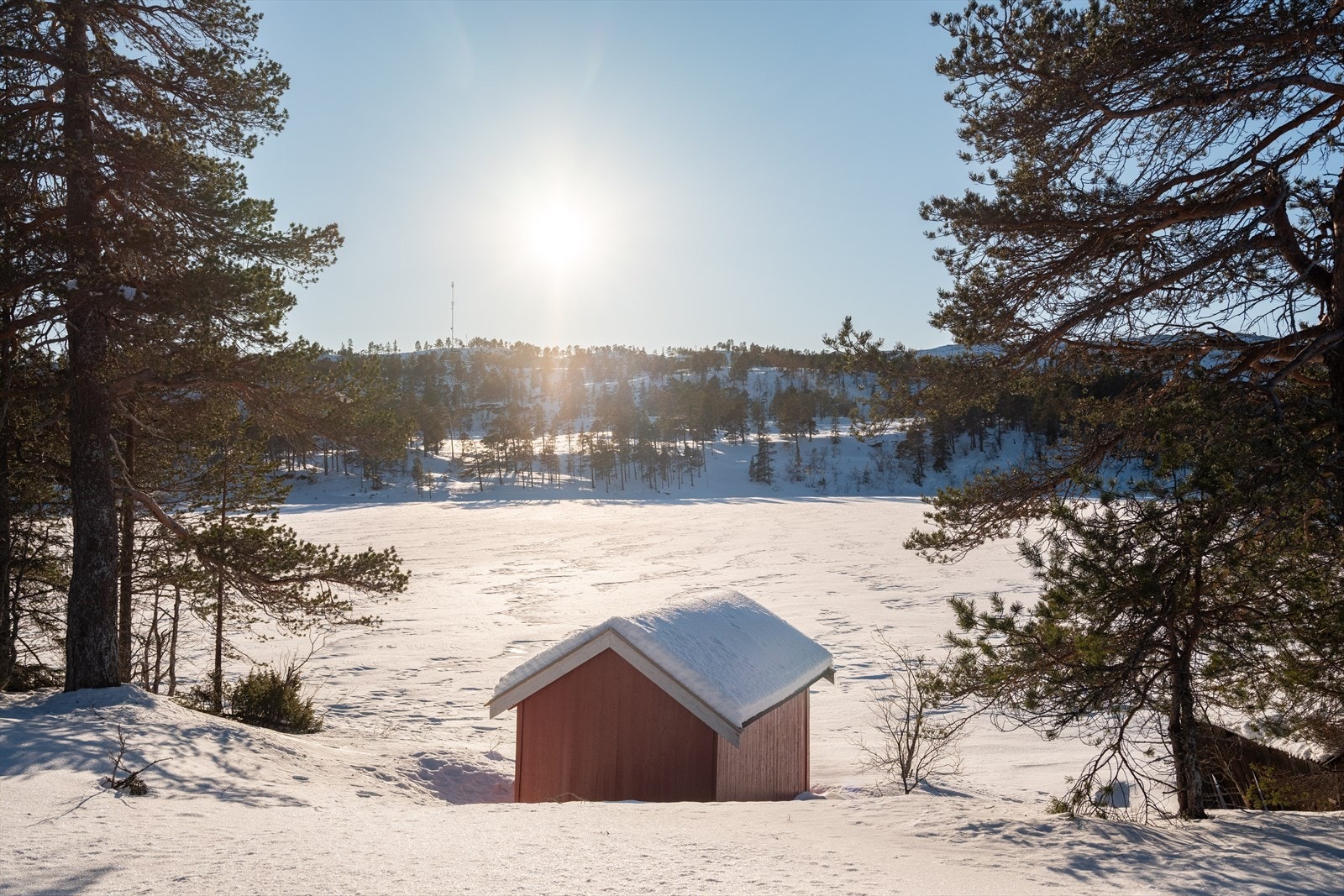Idylliske omgivelser. Galleribilde