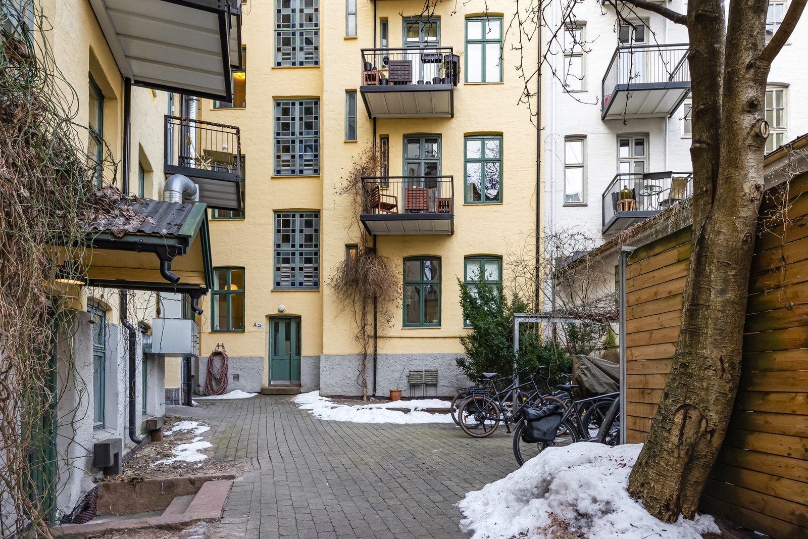 Bakgården er grønn og frodig om sommeren. Galleribilde