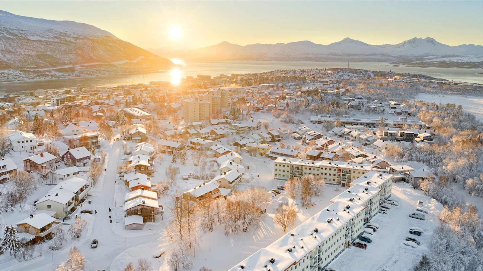 Velkommen på visning! Galleribilde