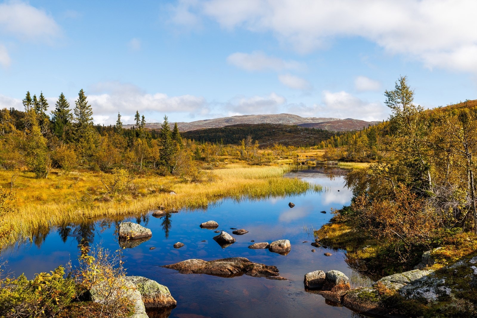 Fra eiendommen er det kort vei til uberørt norsk natur, med milevis av turstier og flere fiskevann. Galleribilde