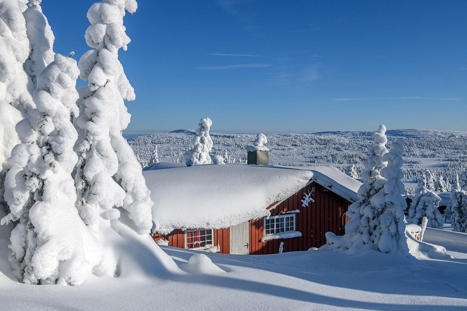 Følelsen av å være alene ? Naturskjønne omgivelser, uten direkte innsyn. Galleribilde