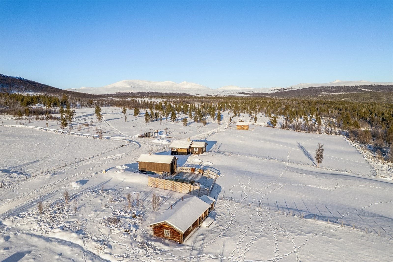 Seter i forkant er ikke med Galleribilde