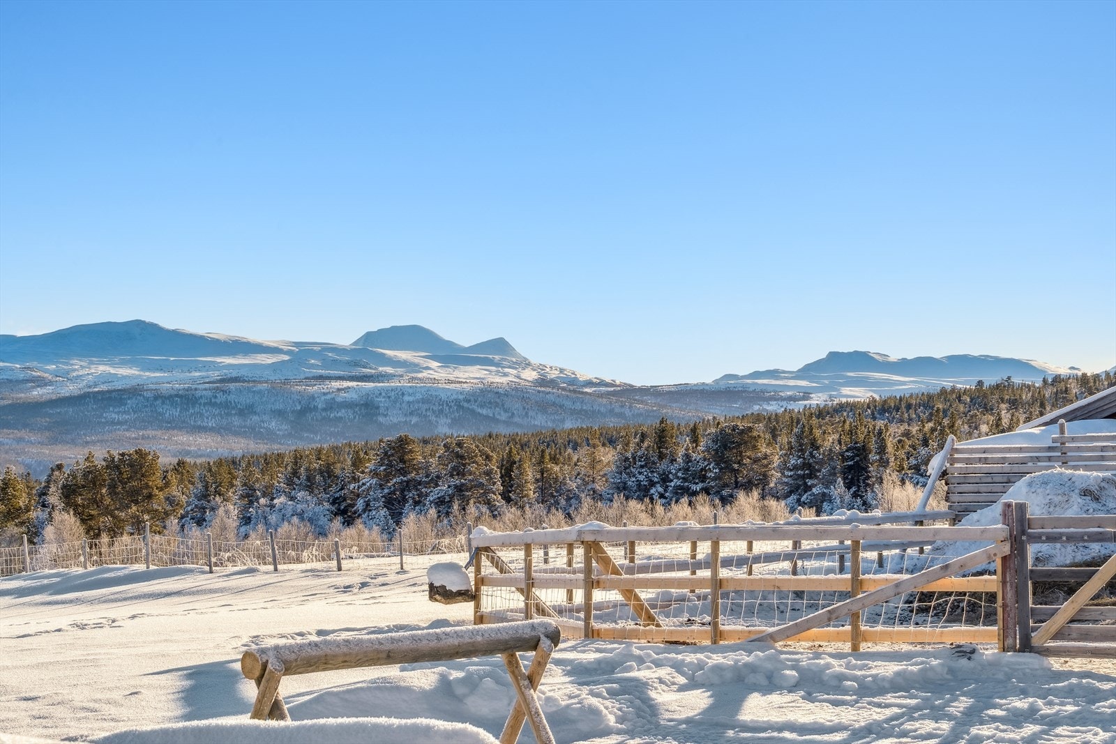 Ute og utsikt fra setra Galleribilde