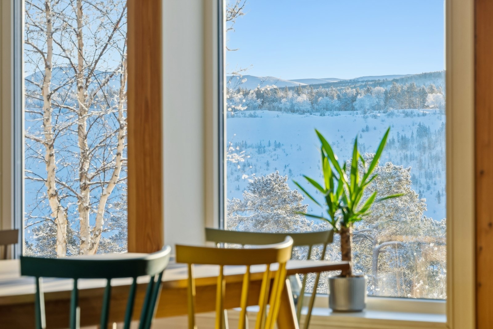 Kårbolig - utsikt Galleribilde