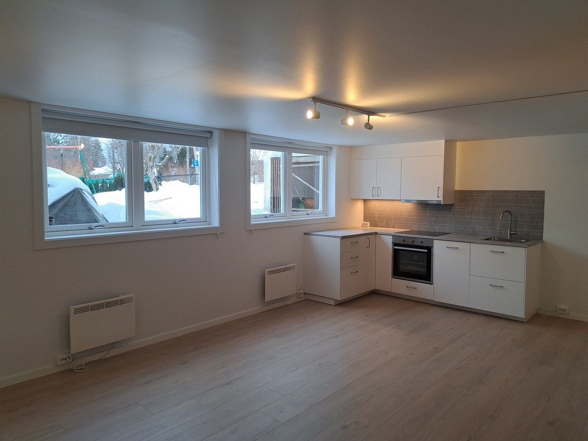 Oppholdsrom med nytt kjøkken. Galleribilde