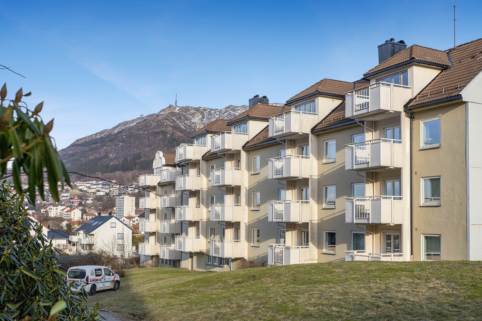 Borettslagets fellesarealer er opparbeidet med asfalterte adkomstveier, plen og beplantning. Galleribilde